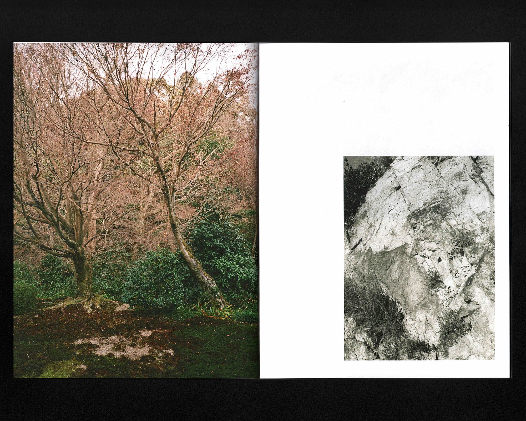 Atunbi & Iku: Lola Kingsley