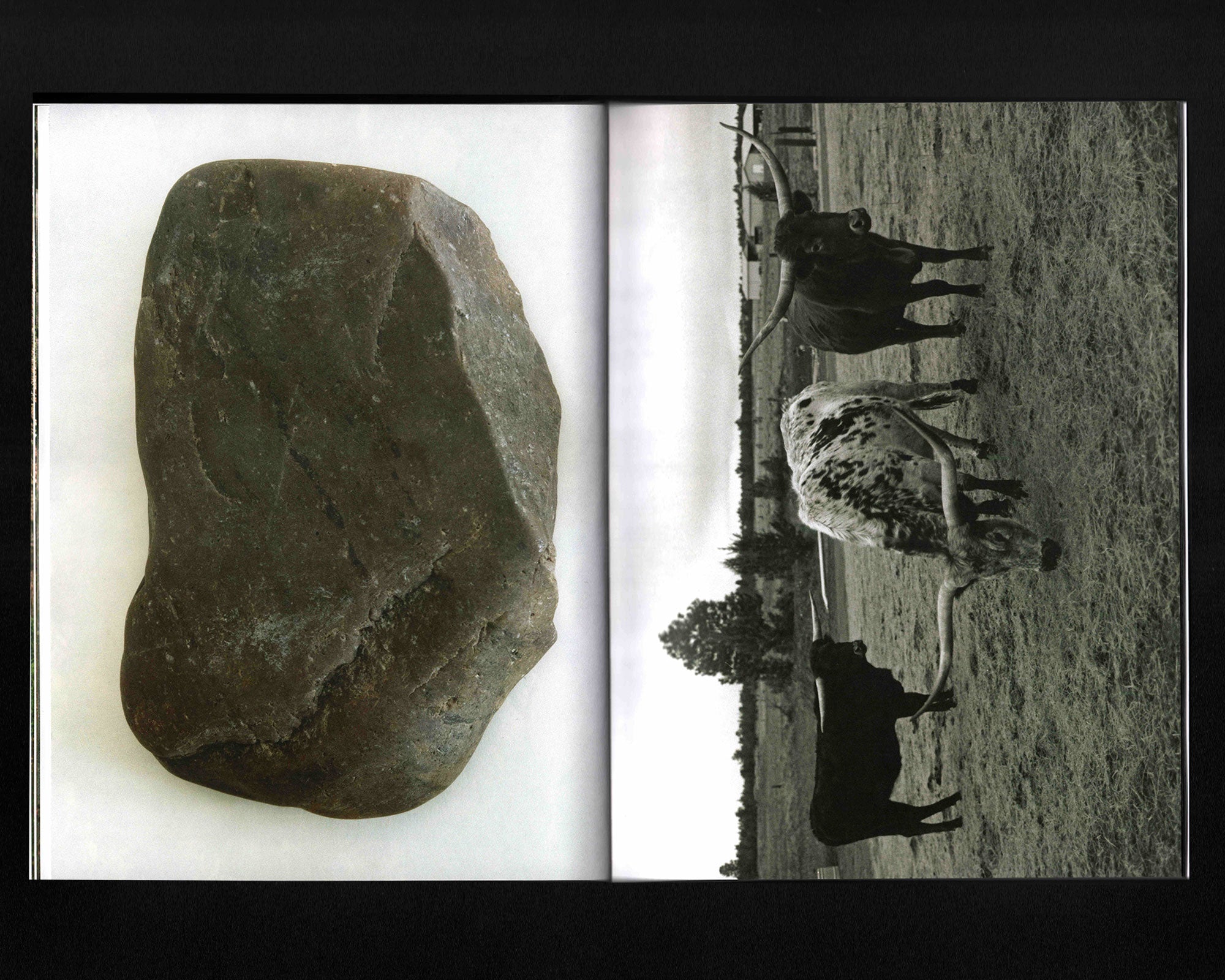 Atunbi & Iku: Lola Kingsley