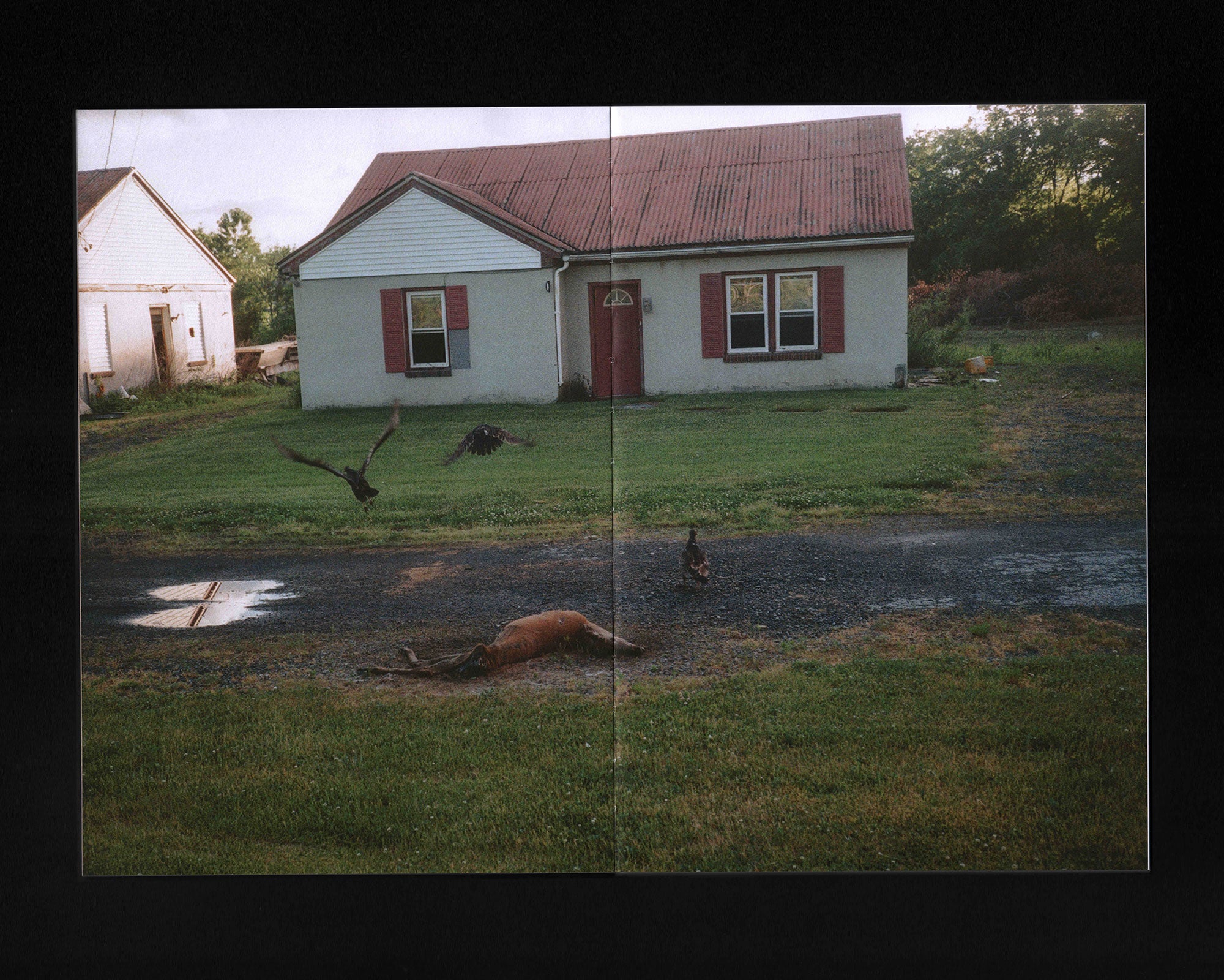 Road Pictures 2017–2024: Lili Peper