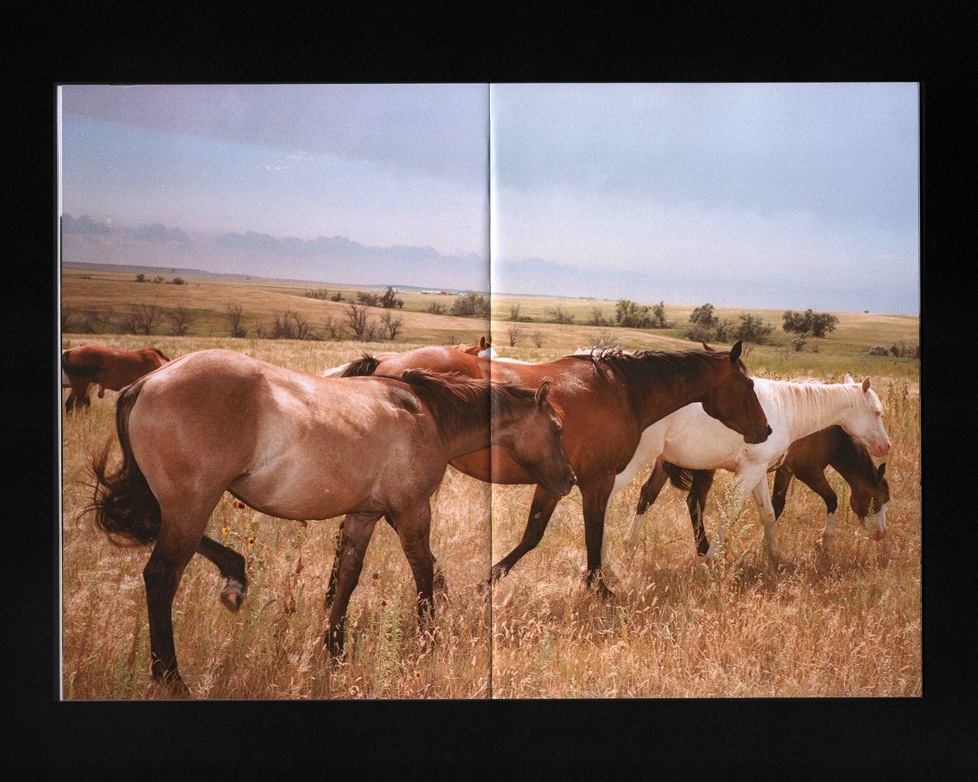 Road Pictures 2017–2024: Lili Peper