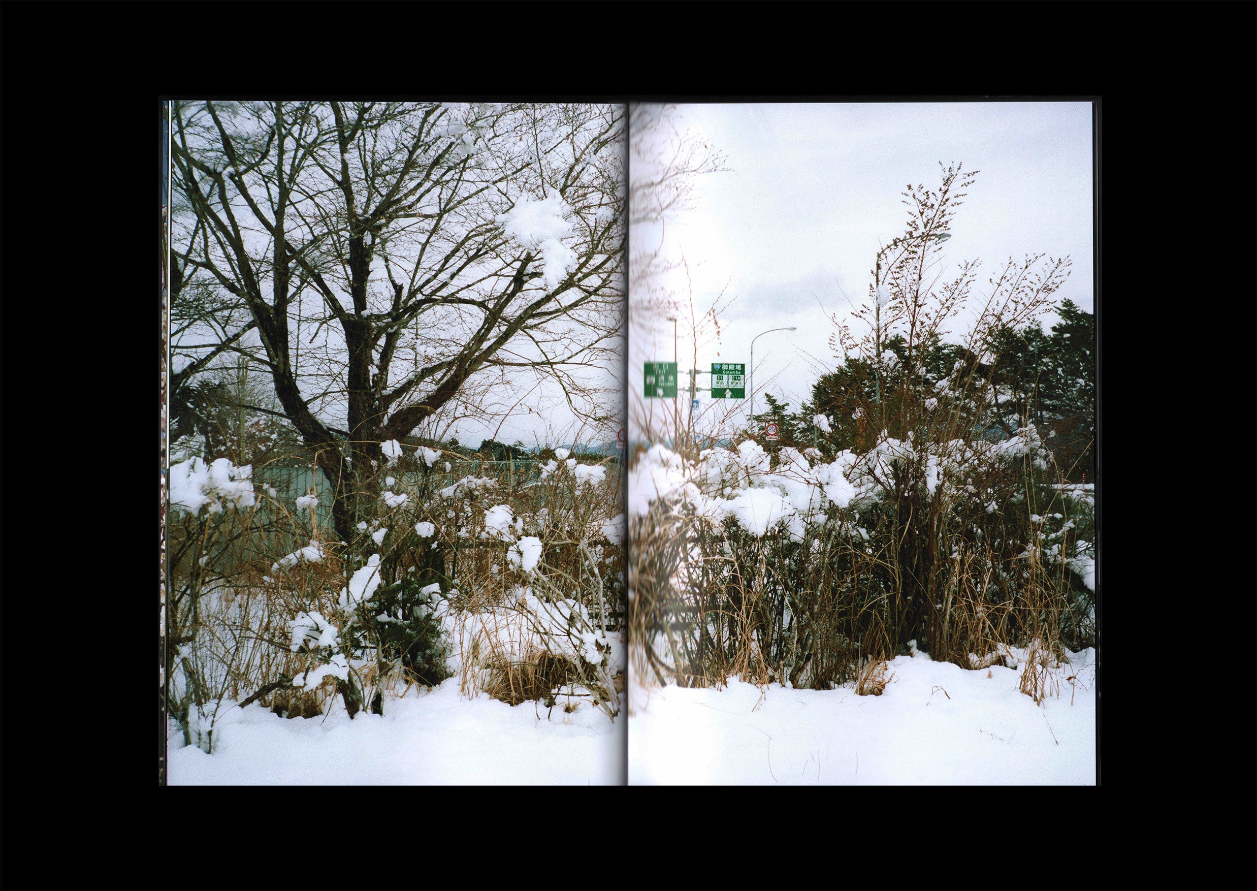 Highway Coaster Pleasure Land: Sly Morikawa