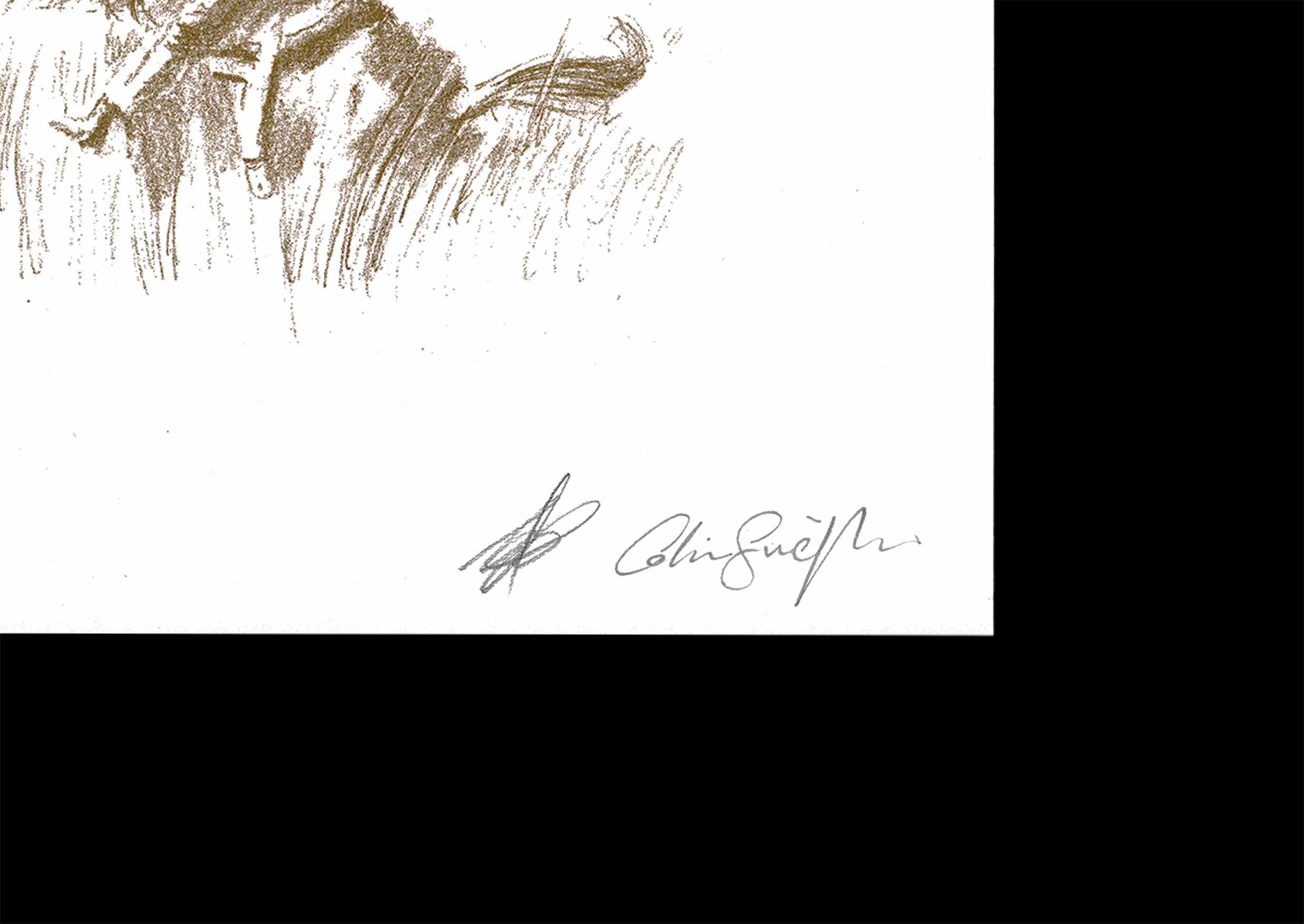 Rollercoaster Cowboy: Cul De Sac Studio & Simon Sosa