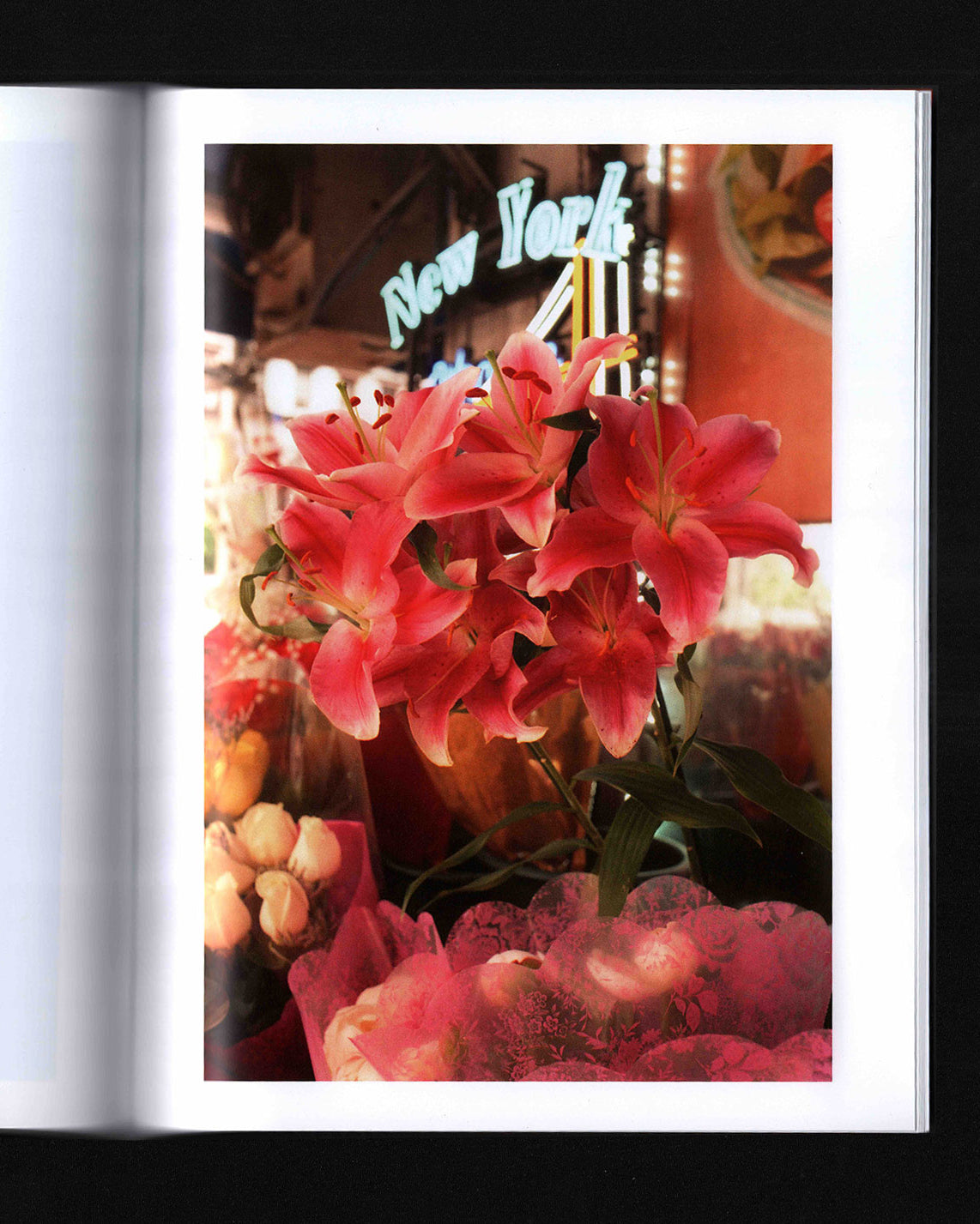 Strangers Angels: Jamie Dorrier