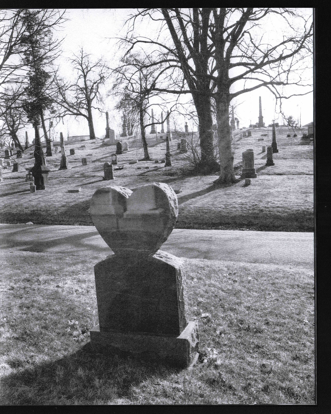 Laser Copy: Rochelle Marie Adam