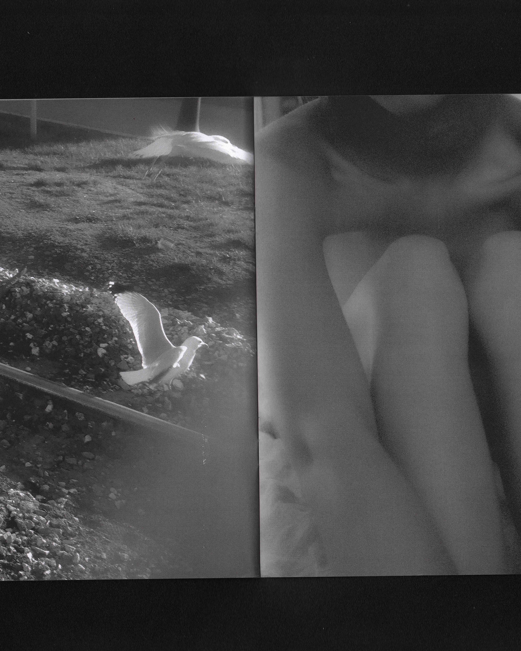 Clean Soft Leaves: Maly Mann