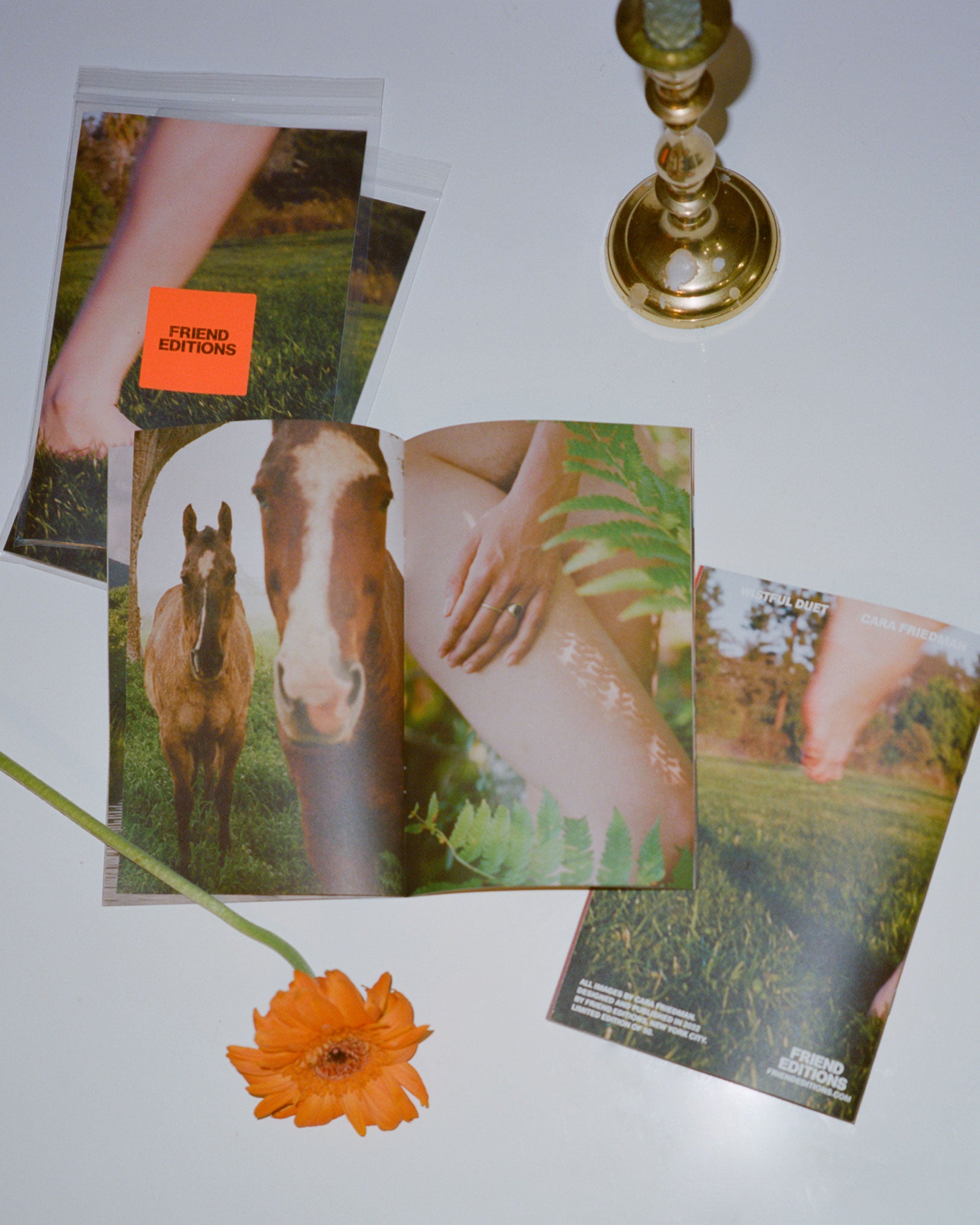 Wistful Duet: Cara Friedman