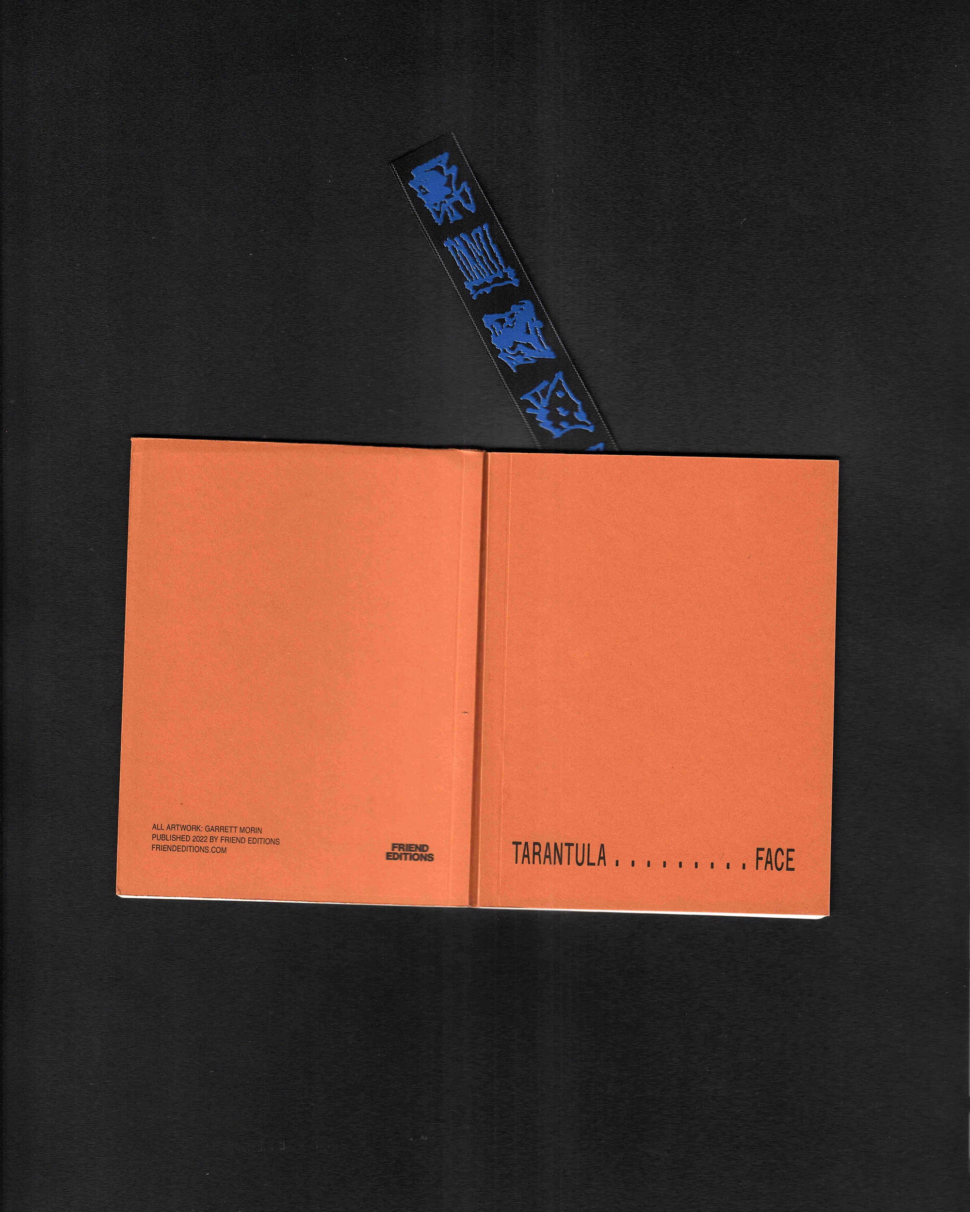 Tarantula Face: Garrett Morin