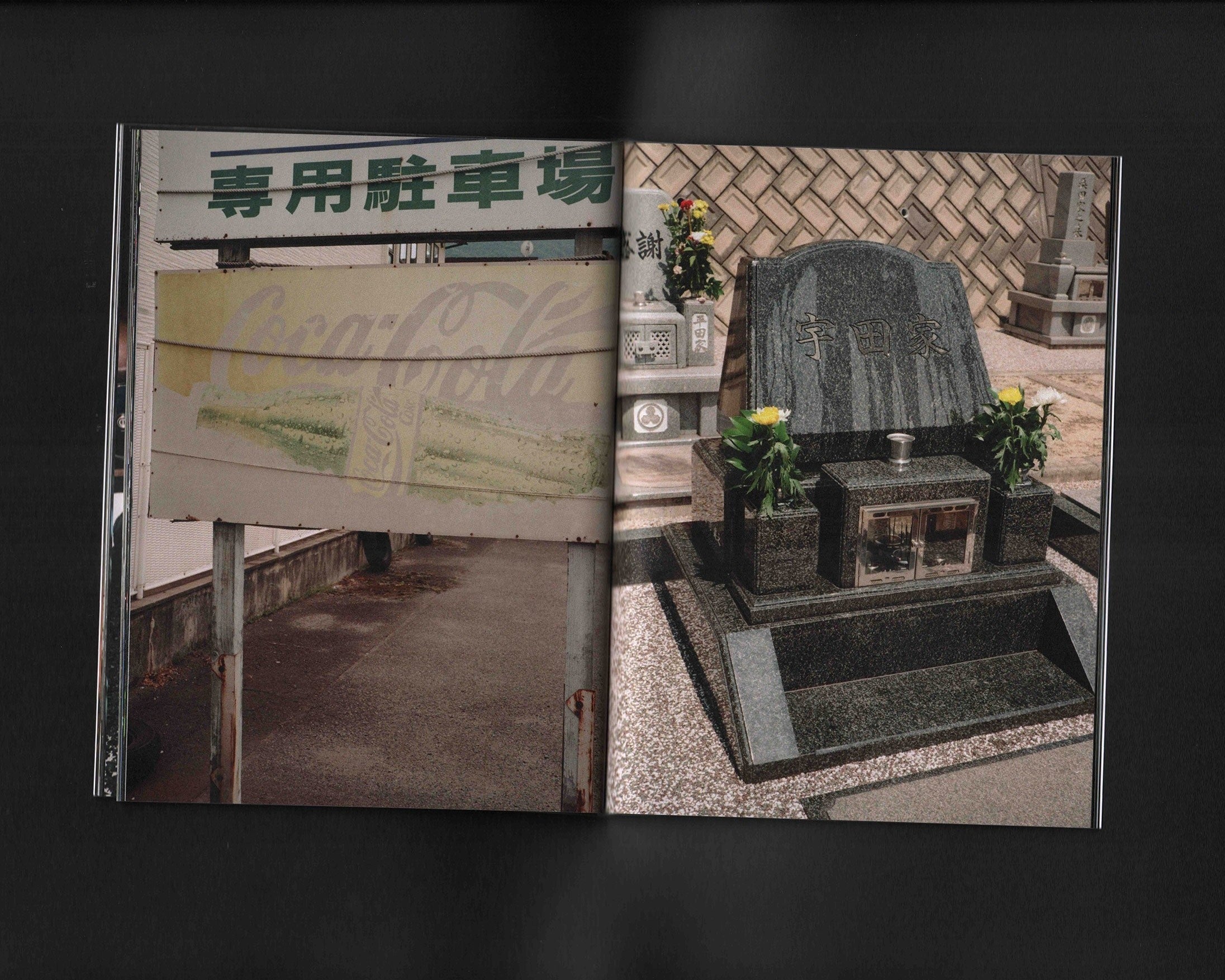 24/7 Paradise: Sly Morikawa