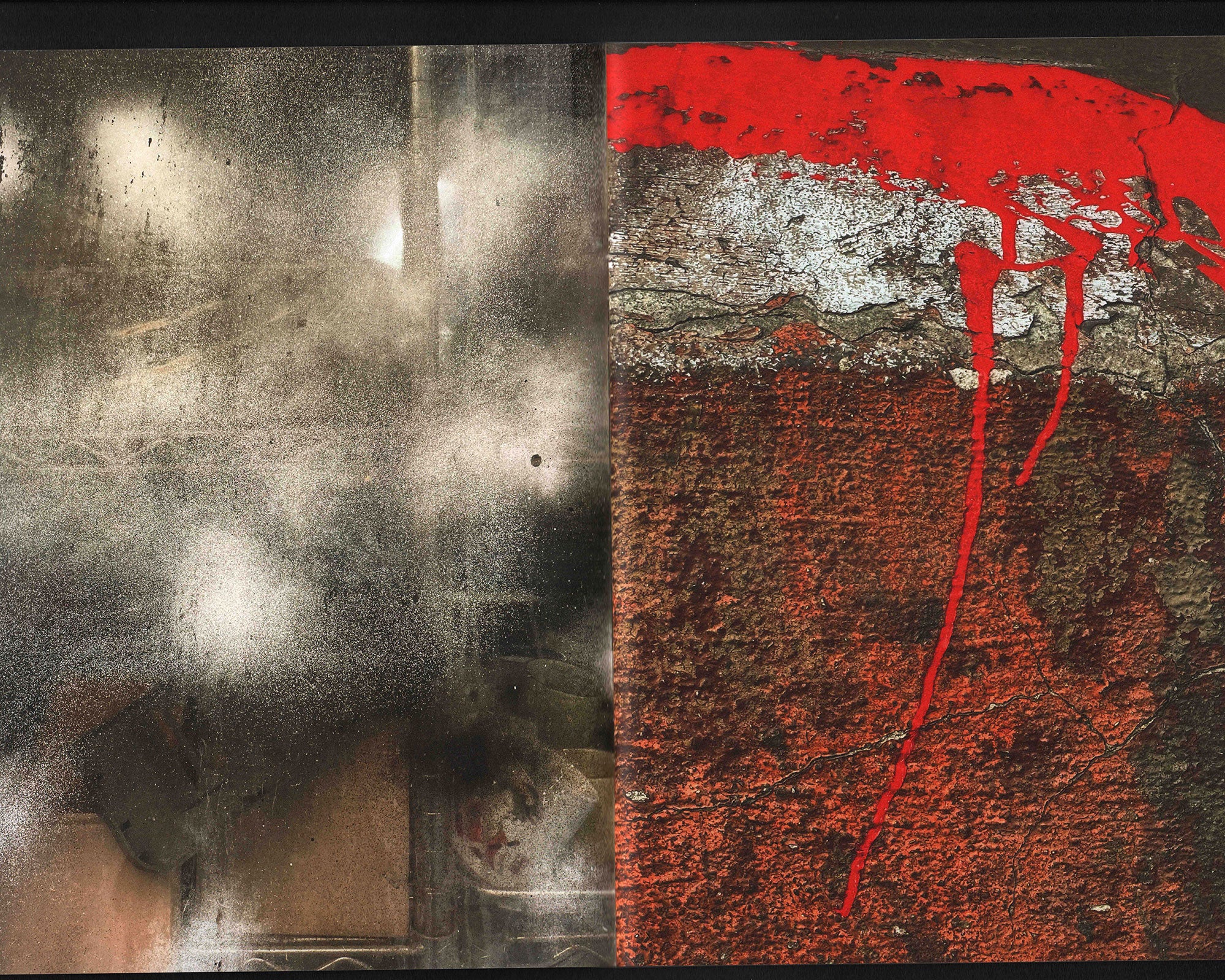 A Day With the Gulls: Ryan Winnen