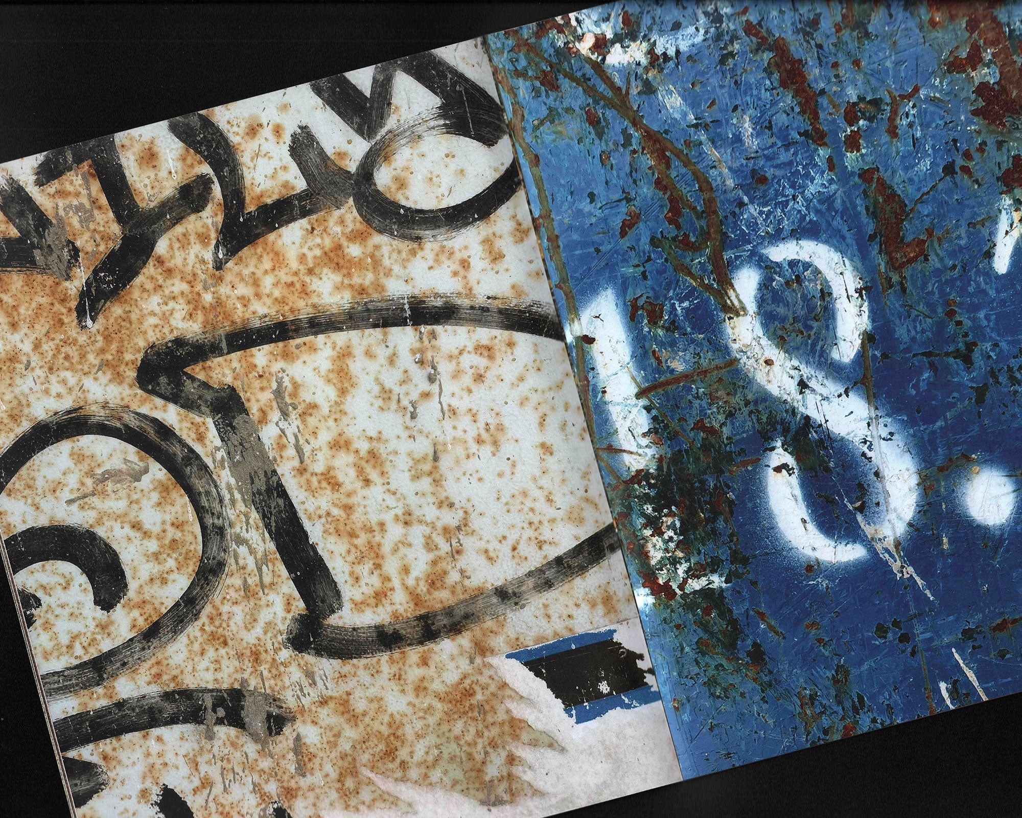 A Day With the Gulls: Ryan Winnen