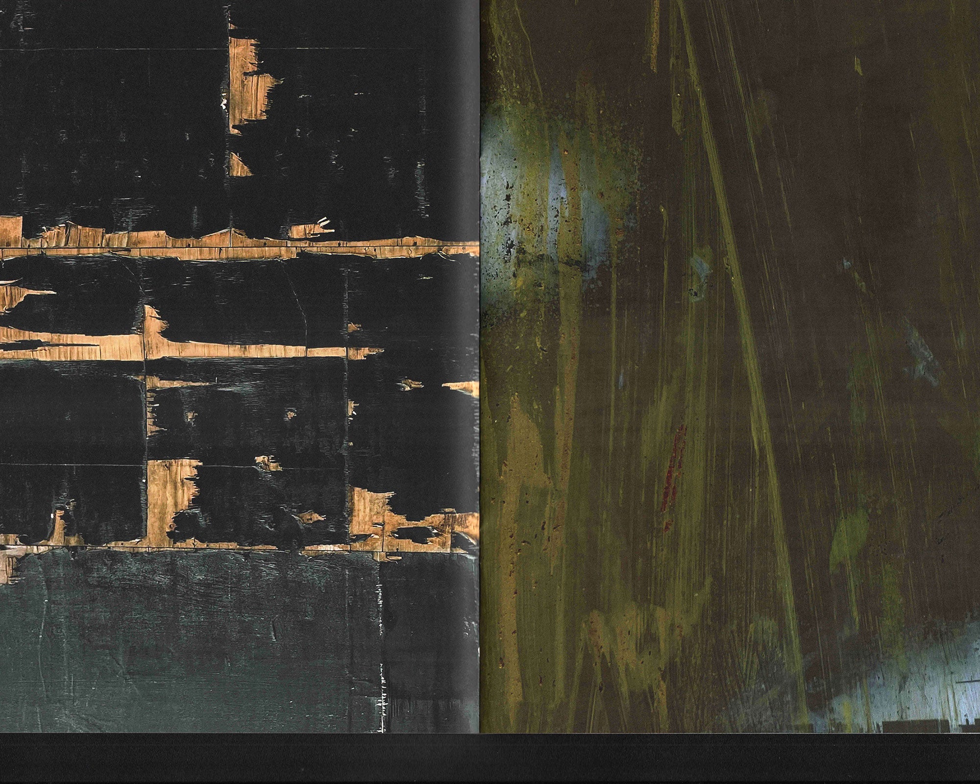 A Day With the Gulls: Ryan Winnen