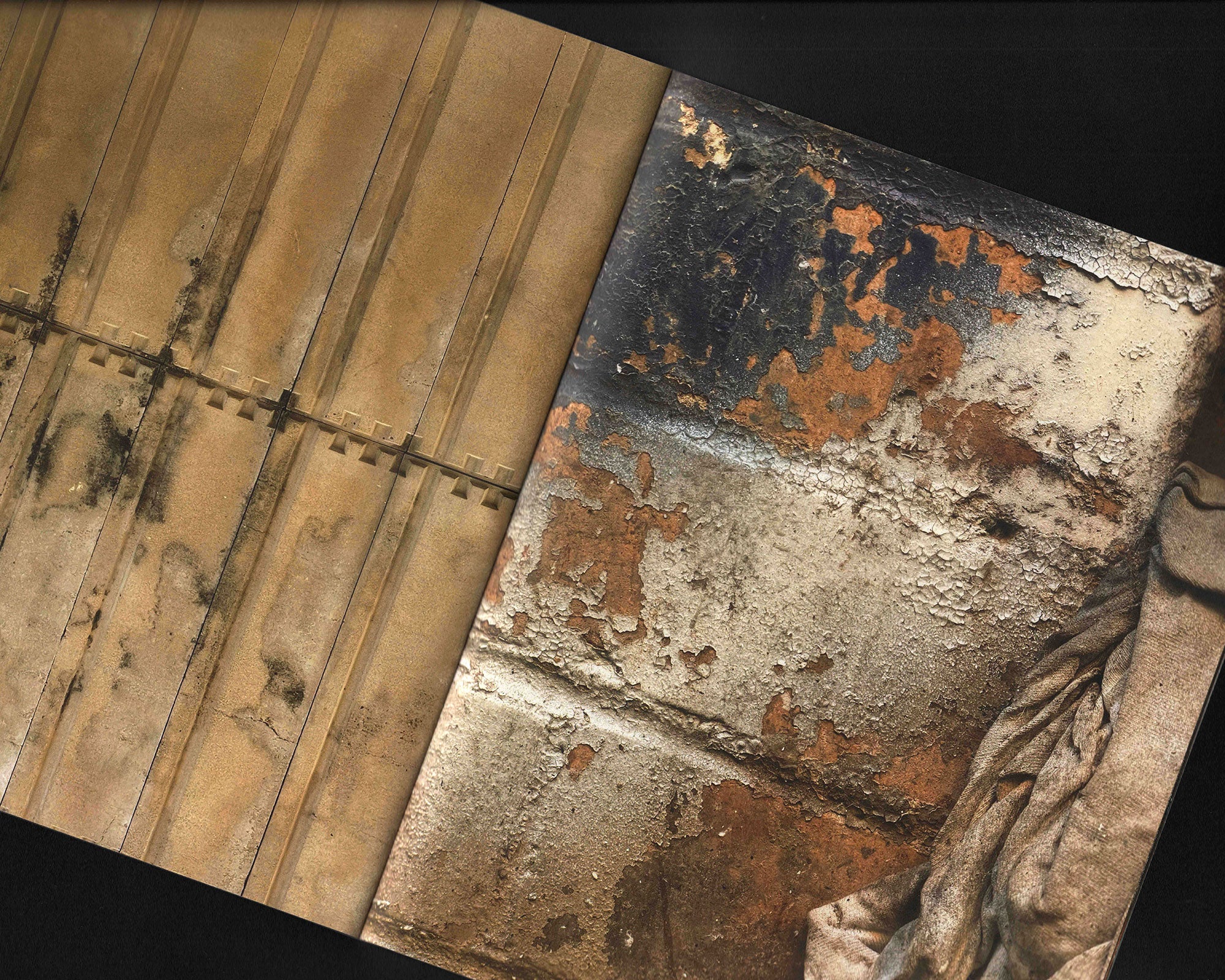 A Day With the Gulls: Ryan Winnen