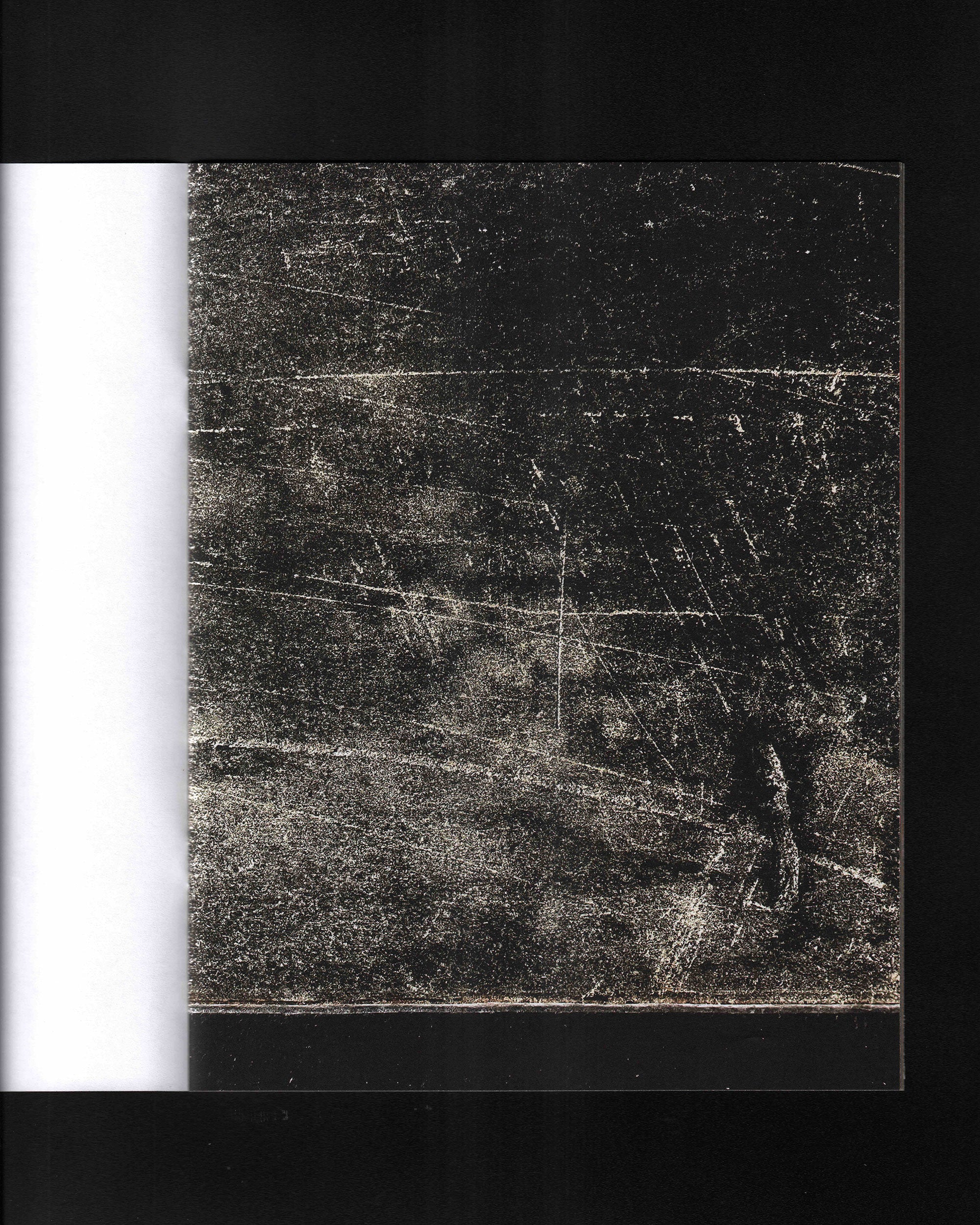 A Day With the Gulls: Ryan Winnen