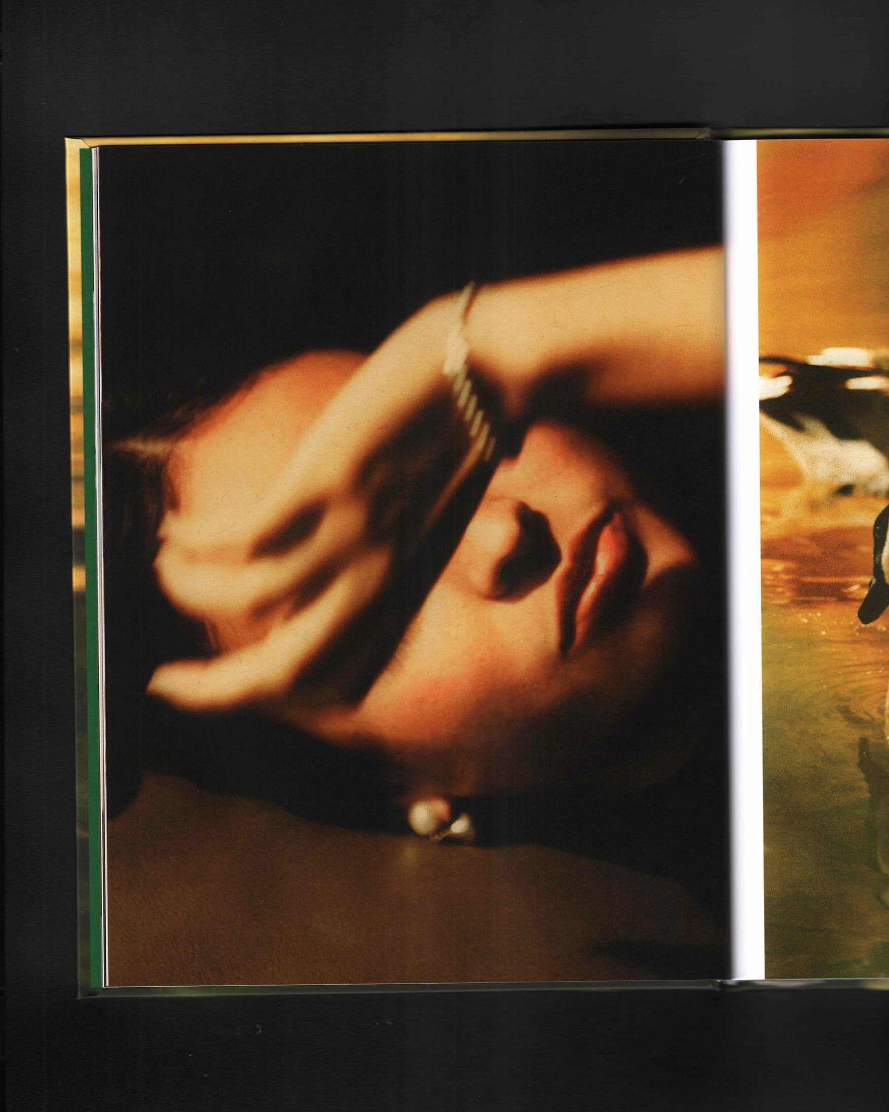 Bird Show: Drew Escriva