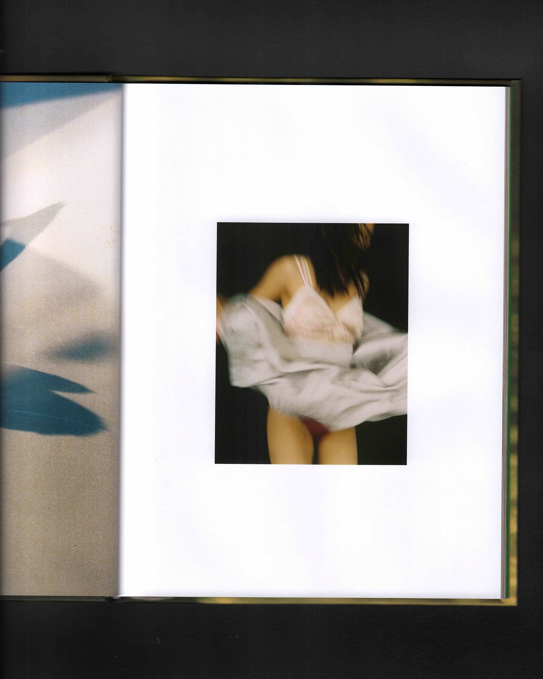 Bird Show: Drew Escriva