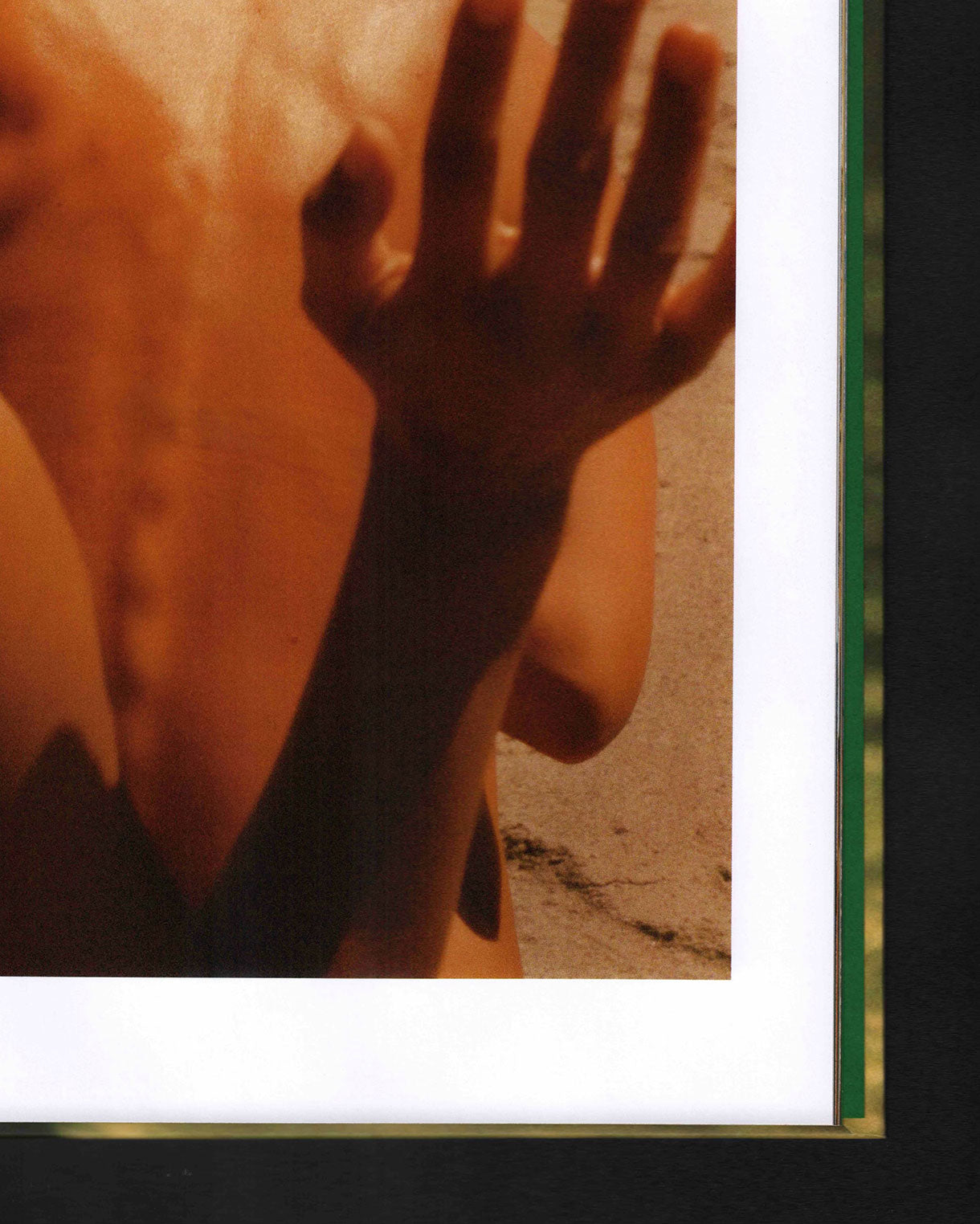 Bird Show: Drew Escriva