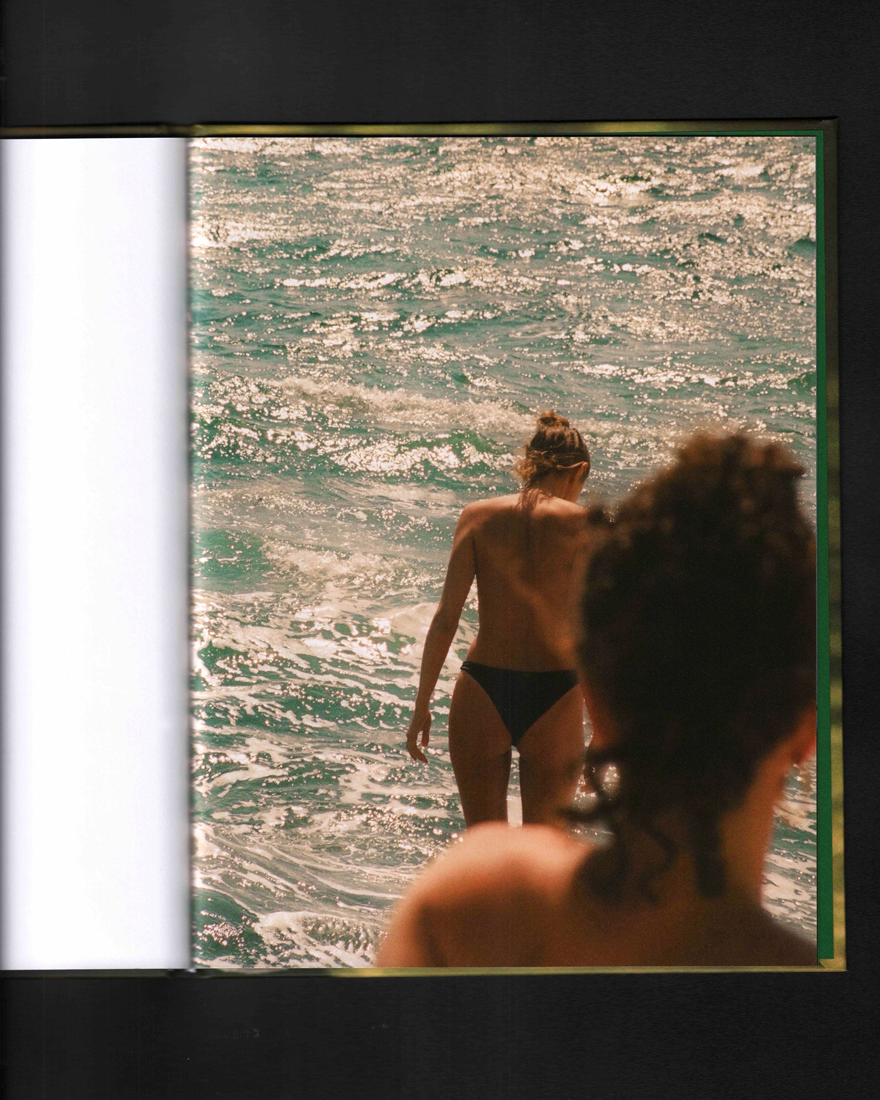 Bird Show: Drew Escriva