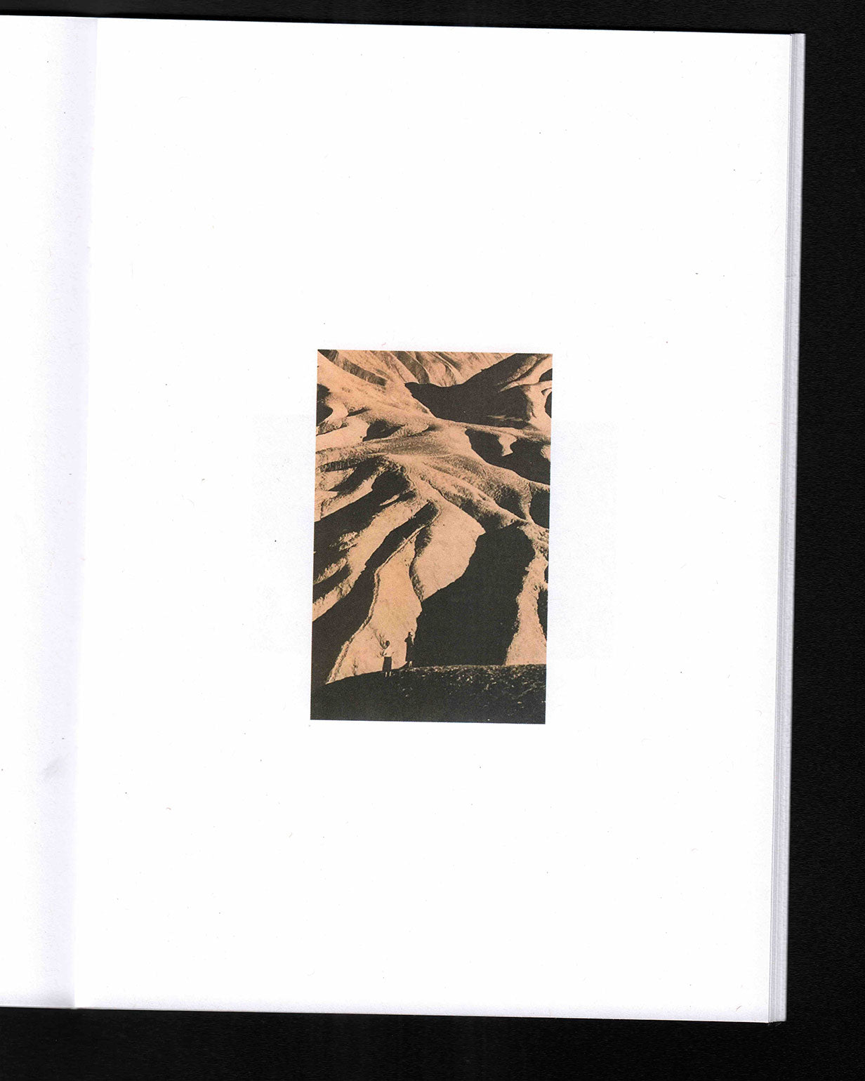 CCOIFDM 40,41,60: Sam Jayne