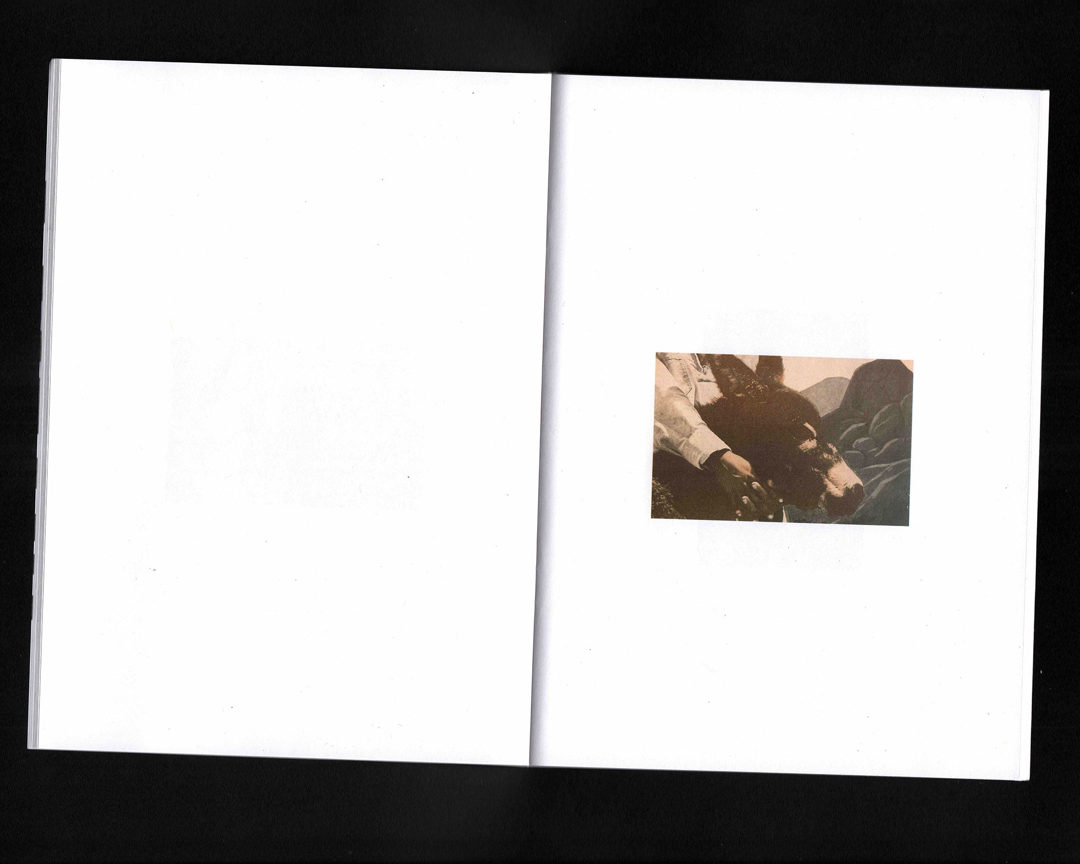 CCOIFDM 40,41,60: Sam Jayne