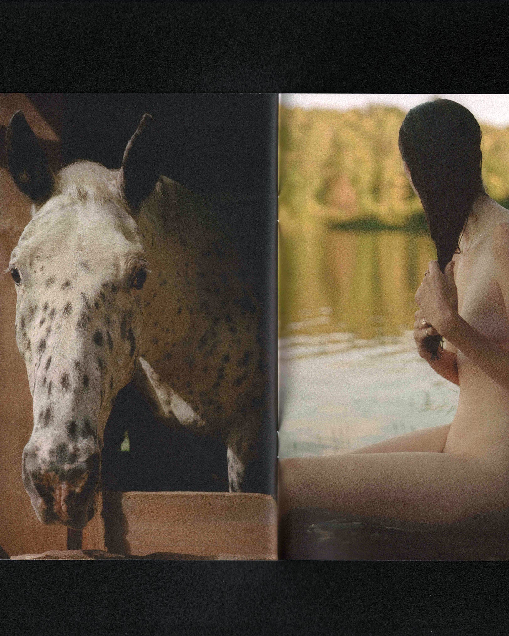 Wistful Duet: Cara Friedman