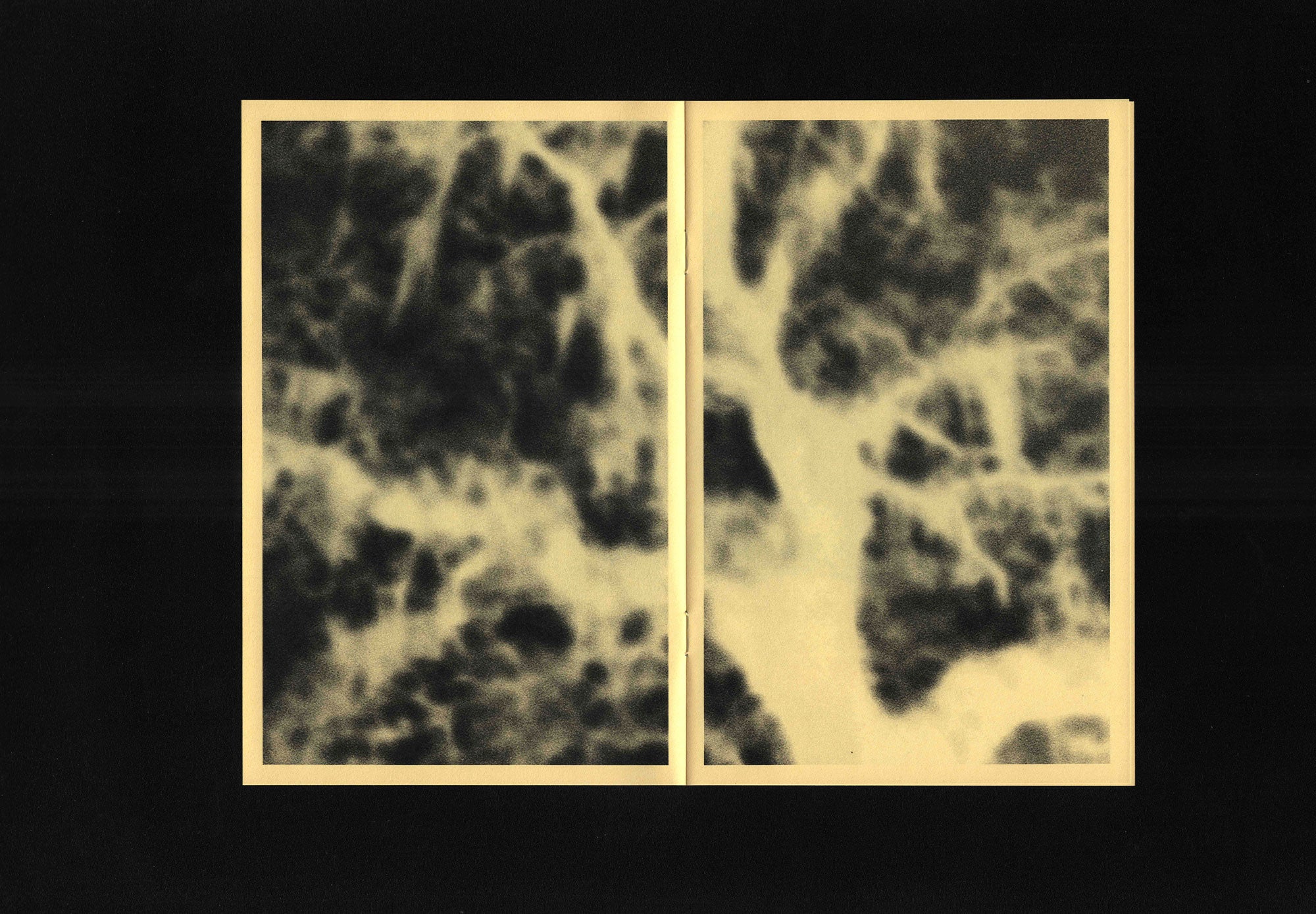 Taste the Earth: Oliver Shaw