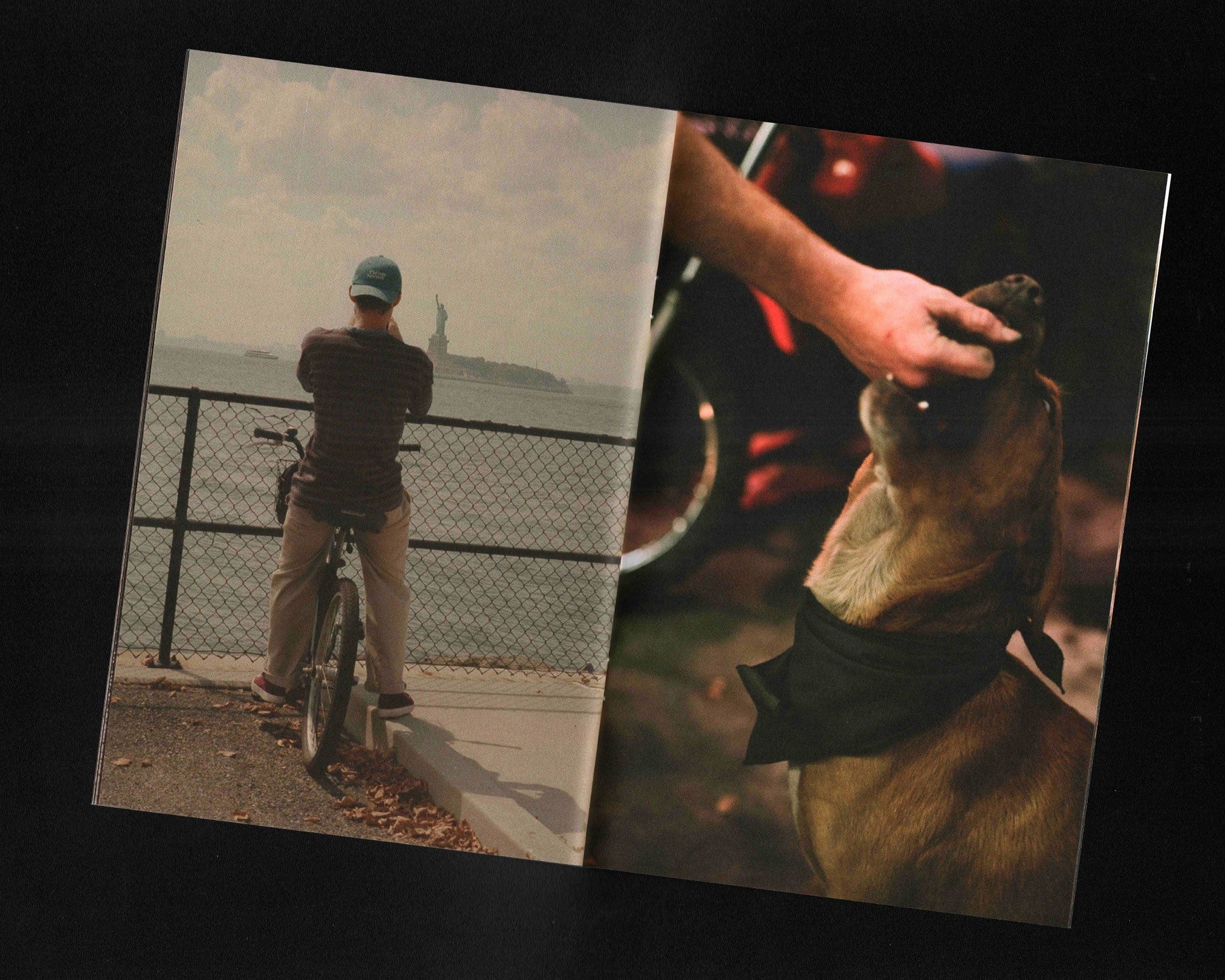 Wistful Duet: Cara Friedman