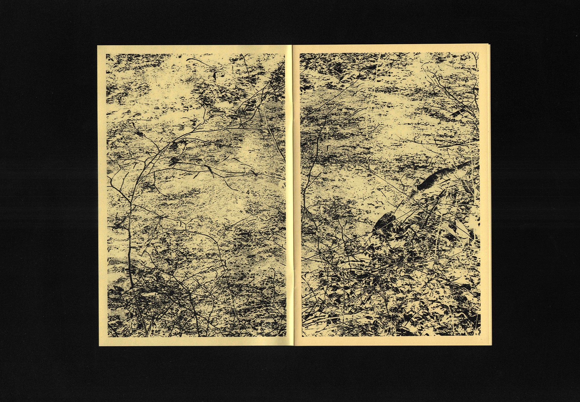 Taste the Earth: Oliver Shaw