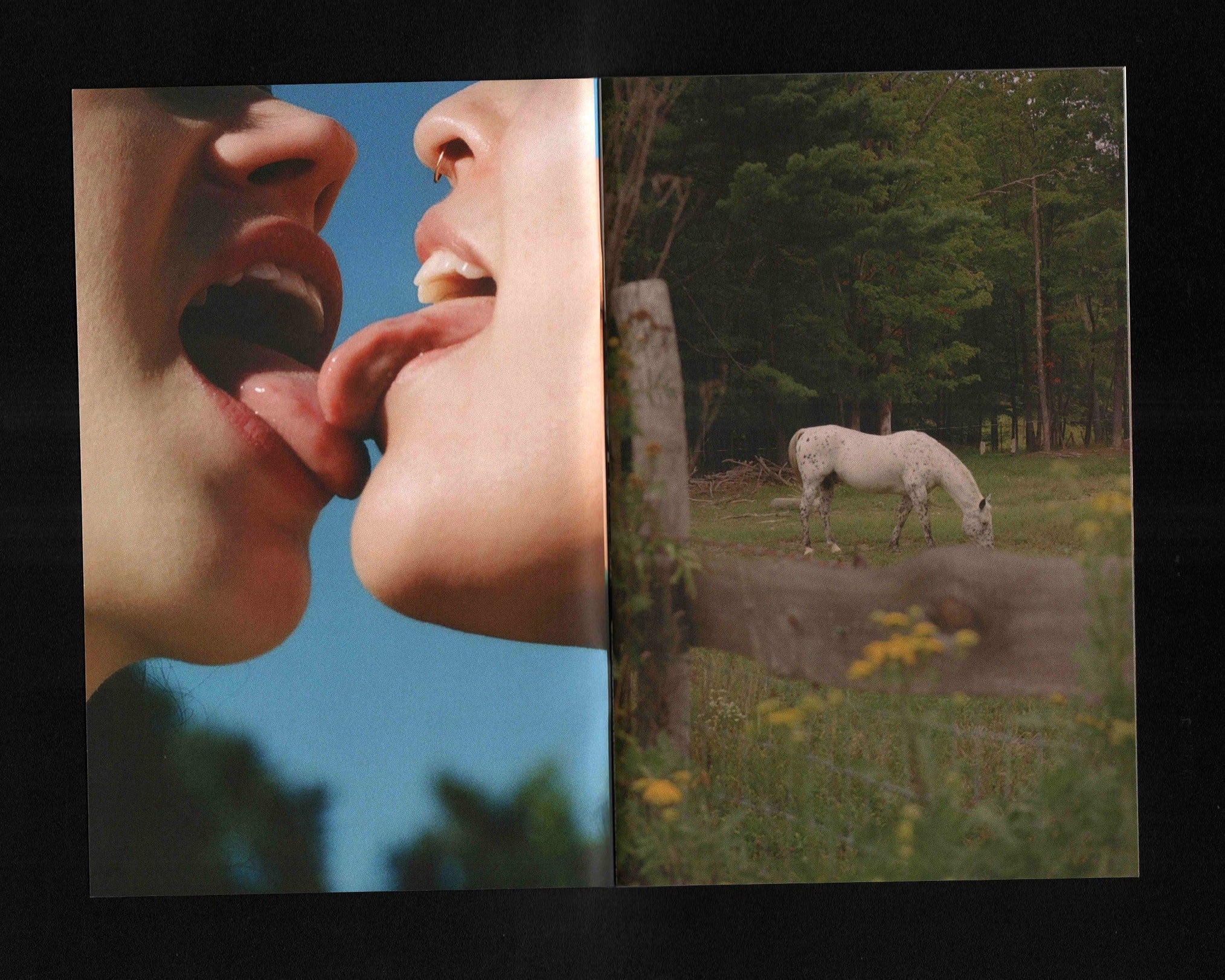 Wistful Duet: Cara Friedman