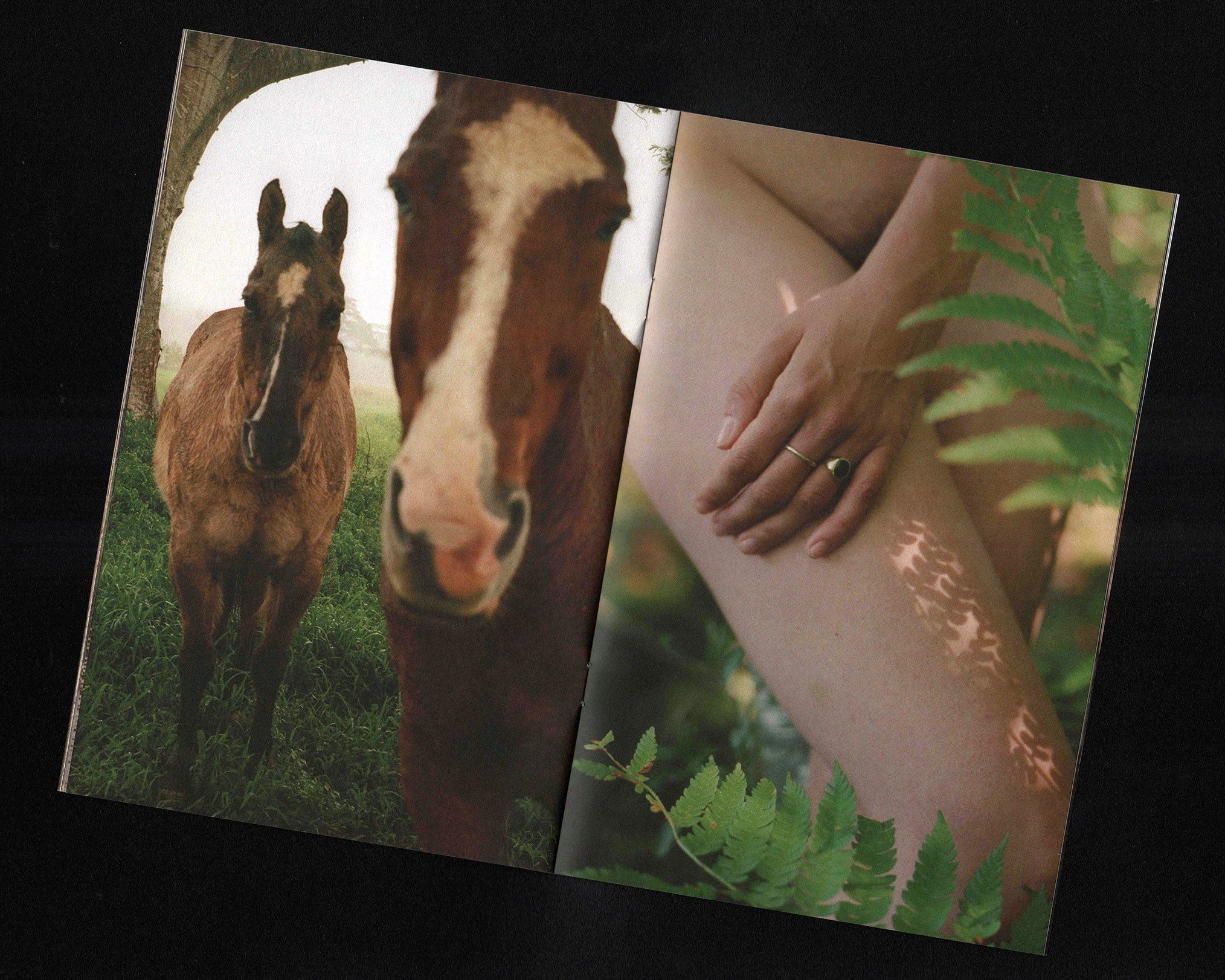 Wistful Duet: Cara Friedman