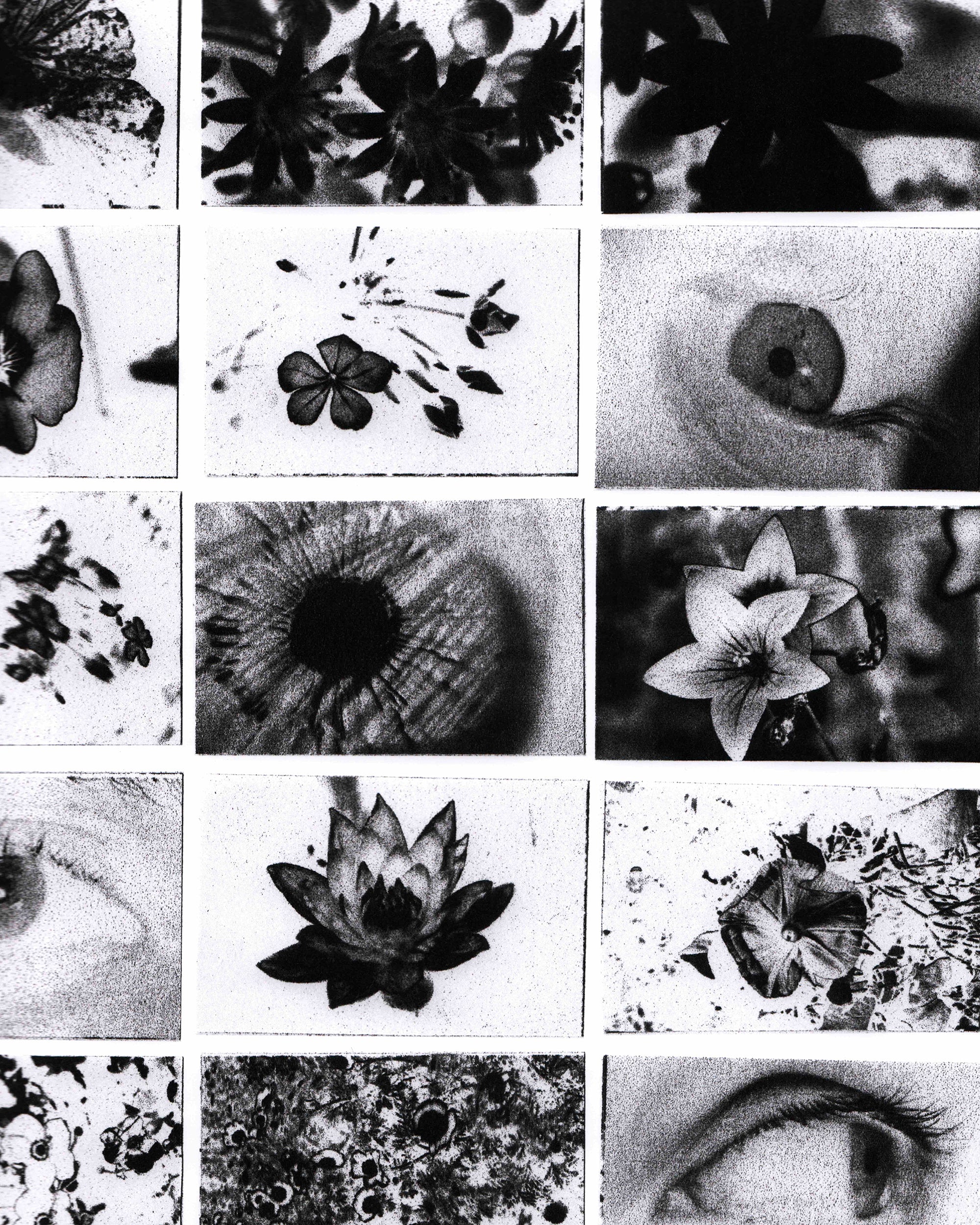 IRIS: Colin Sussingham