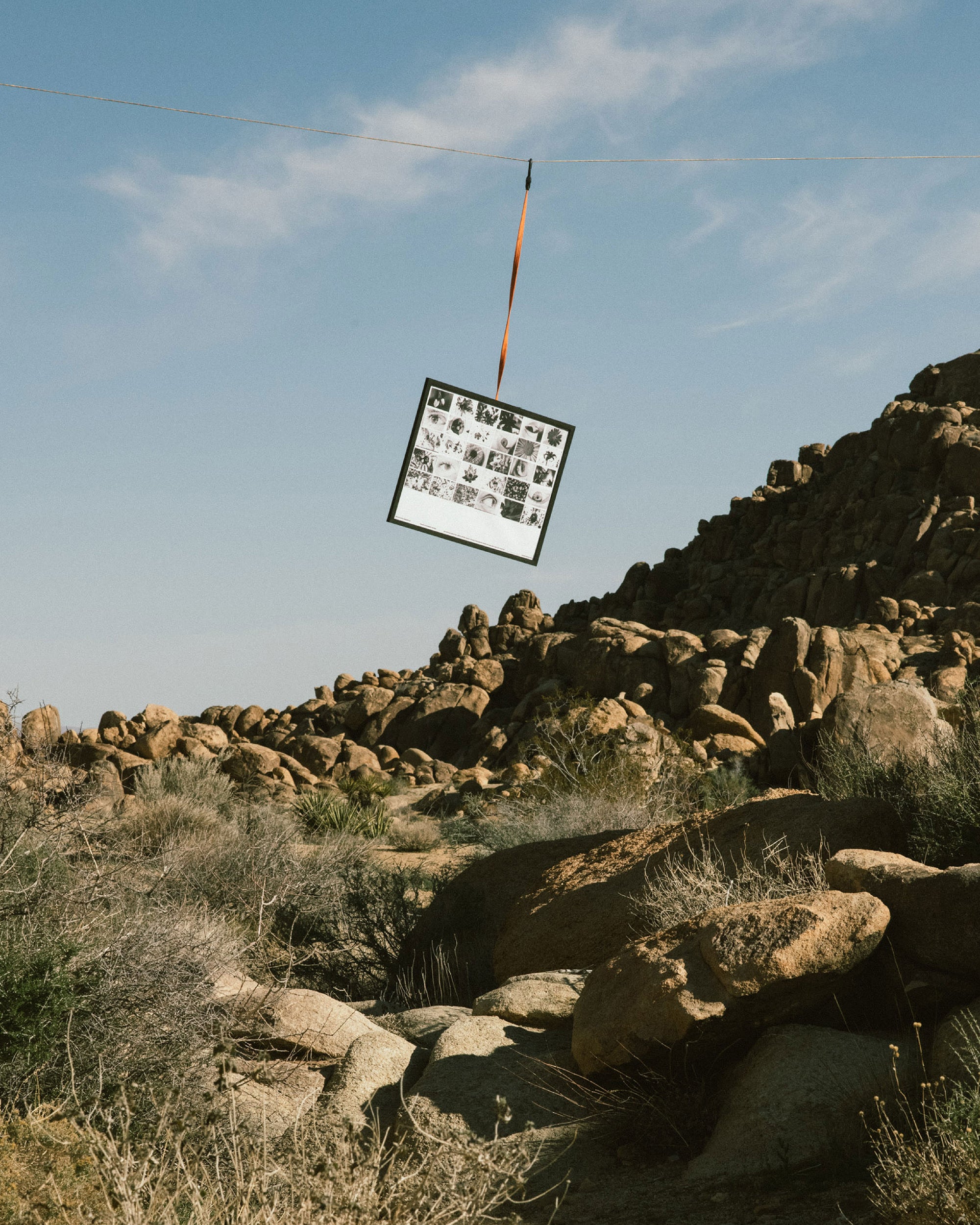 IRIS: Colin Sussingham