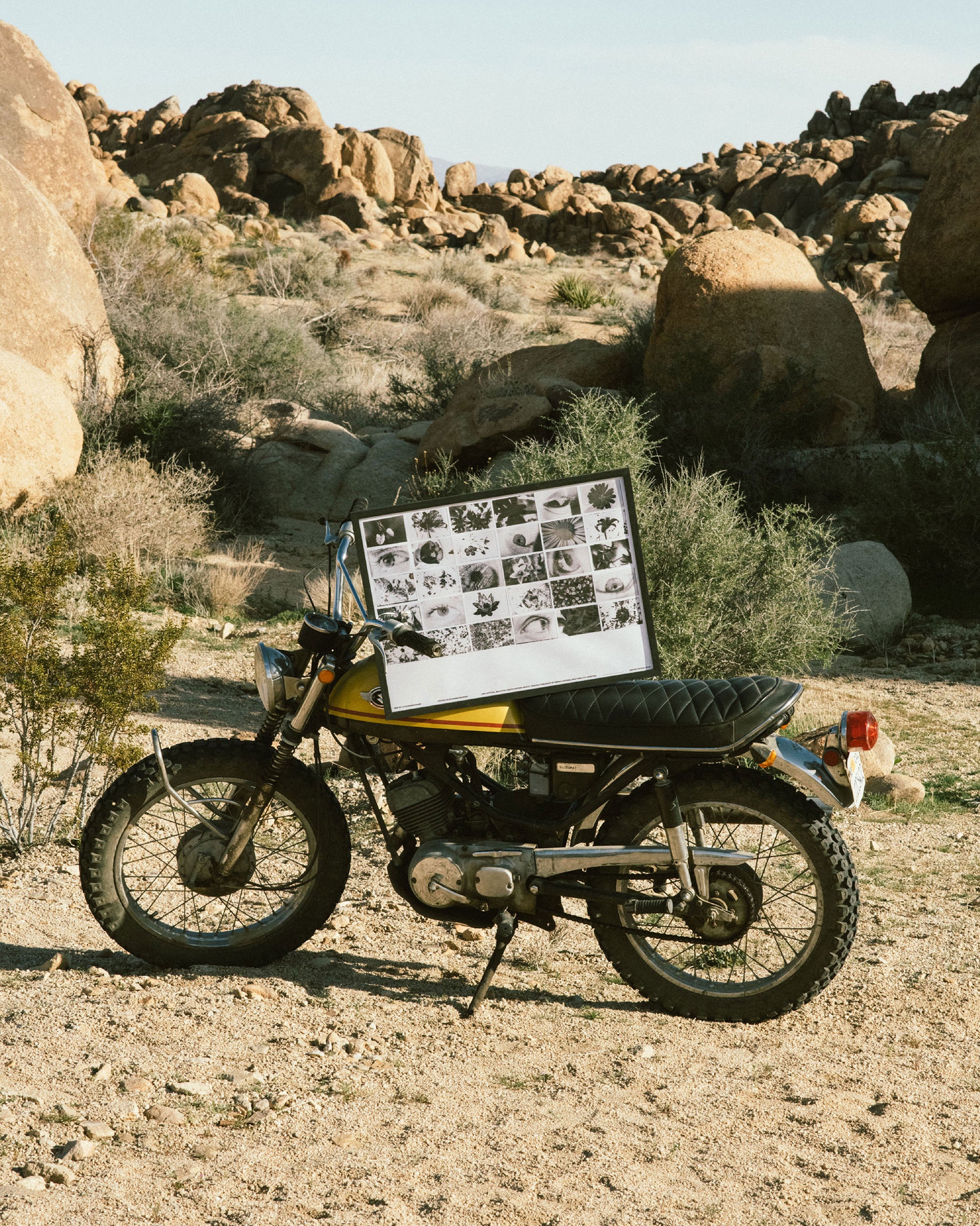 IRIS: Colin Sussingham