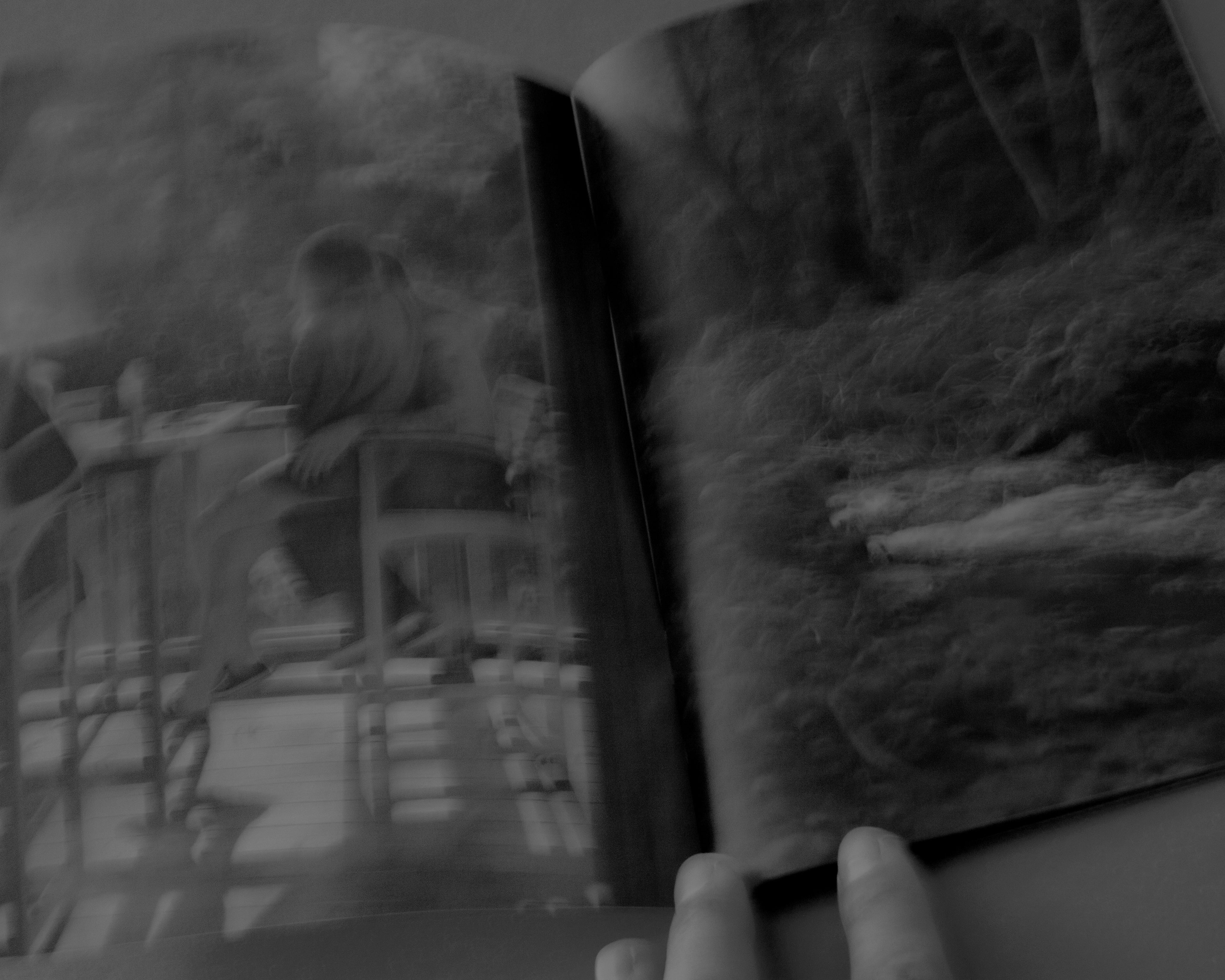 Clean Soft Leaves: Maly Mann